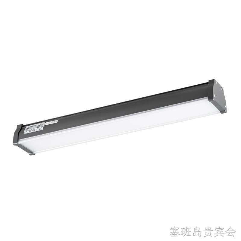 C06系列一体三防灯